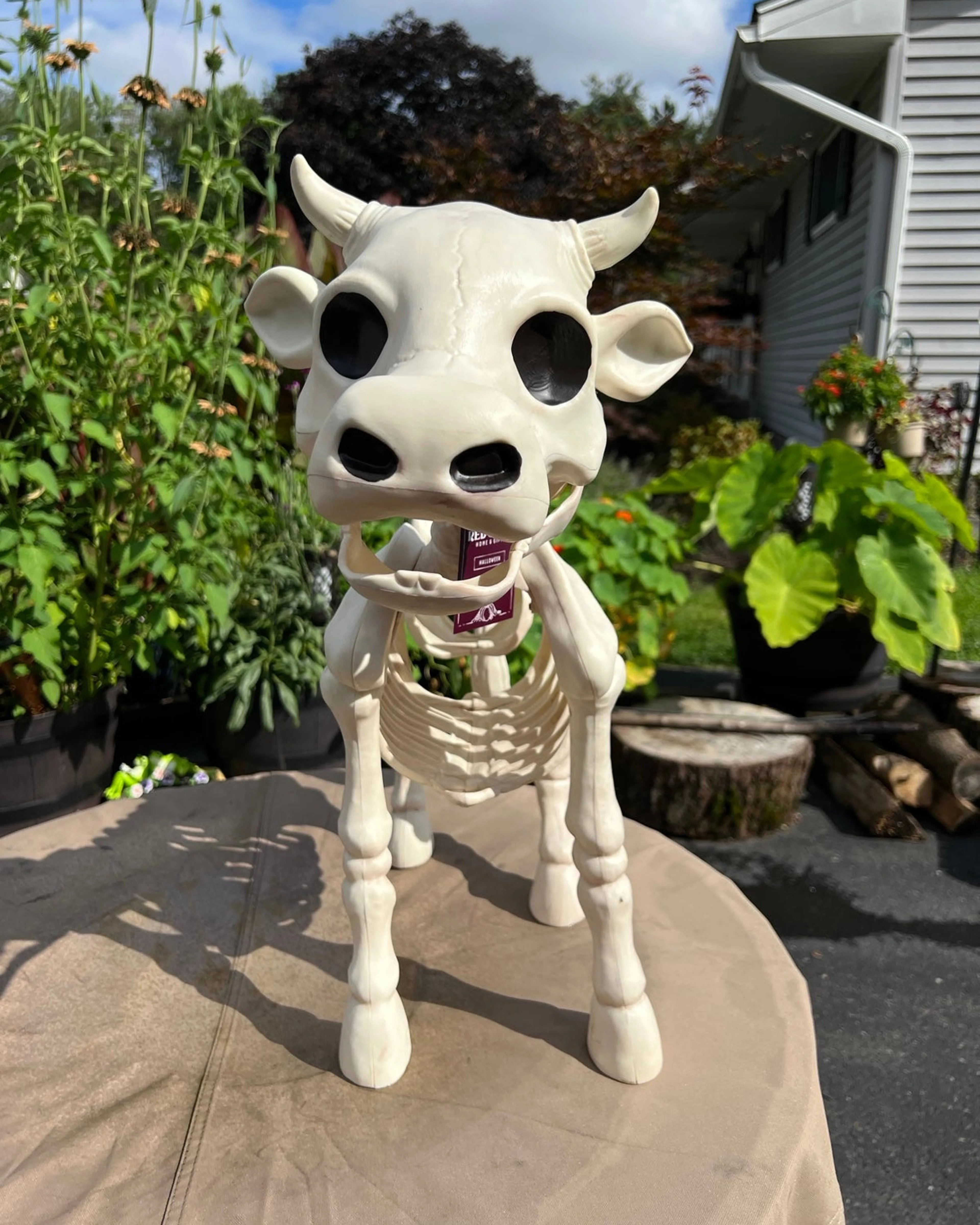 LAST DAY 50% OFF🔥Cow & Horse Skeleton Halloween Decorative Prop