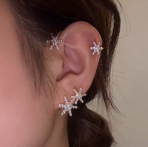 🎁The best Christmas gifts for women - Shiny zircon earrings