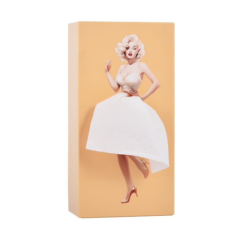 🎁 Flying Skirt Tissue Box