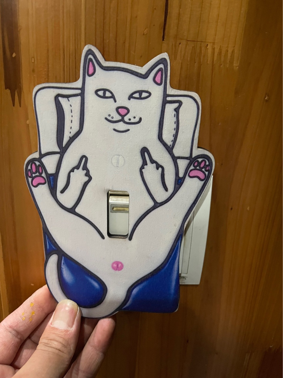 🔥Limited Time Sale 48% OFF🎉Naughty Cat Light Switch Cover--buy 5 get 5 free & free shipping（10pcs）
