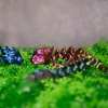 3D Printed Tiny Cute Dragon