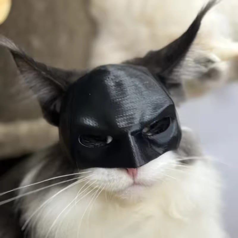 Pet cat handsome bat mask