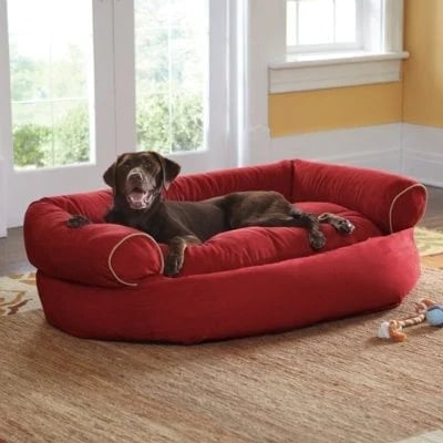 (🔥Hot Sale 50% OFF) 2024 Sofa Dog Bed