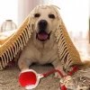 🐱🐶2025 Automatic LED Interactive Pet Toys Ball, 🔥Buy 3 Get Extra 20% OFF ONLY TODAY!