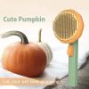 ⚡⚡Last Day Promotion 48% OFF - Pumpkin Pet Grooming Comb Self Cleaning Slicker Brush（🔥🔥BUY 3 GET 2 FREE）