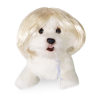 🔥Last Day Promotion - 60% OFF🎁🐕🐱Pet Wigs Cosplay Props