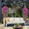 Perfect home garden decoration – 🌺hanging morning glory