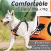 🐶 No Pull Dog Harness for Pets Easy to Put on & Take Off