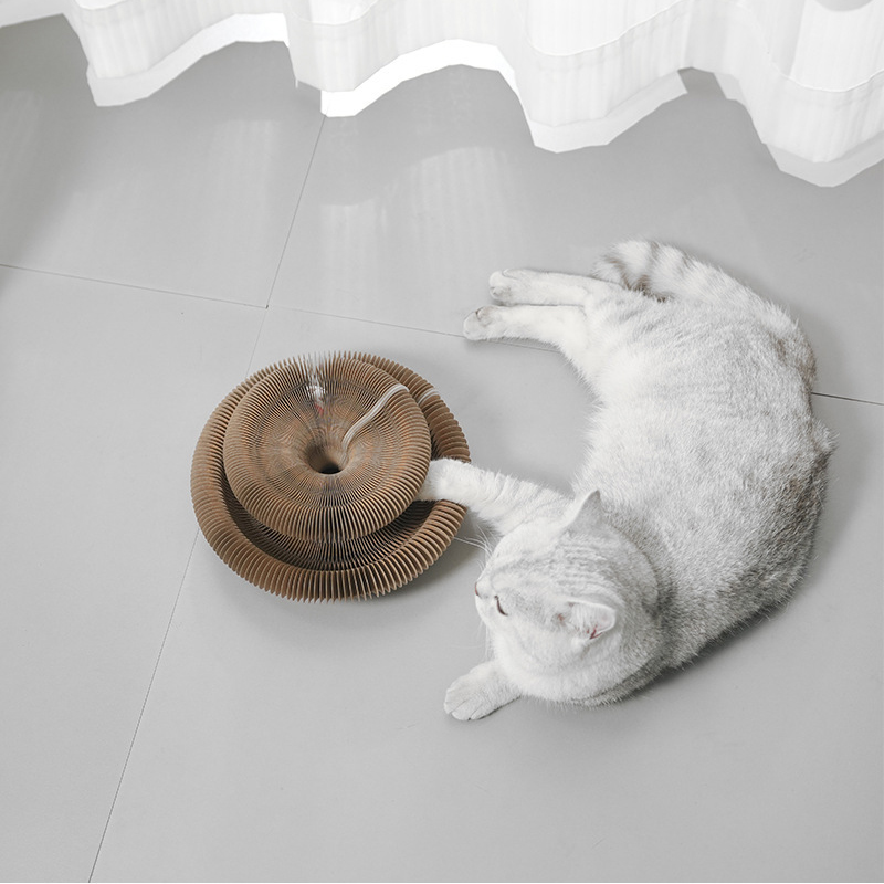 Un acheté, un offert !🔥Planche à gratter pour chat, jouet pour chat avec clochette🐾🐾