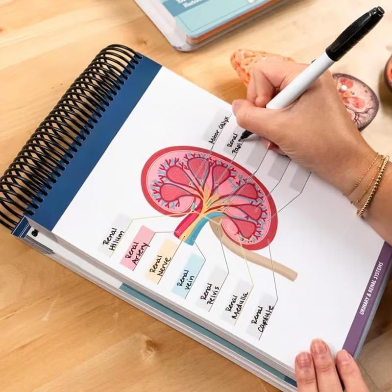 🔥Last Day 50% OFF - Anatomy Label Workbook 📘