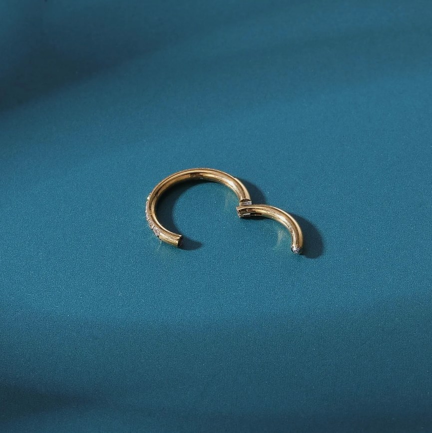 Buy 3 Get 2 Free-Titanium Micro Gem Hinged Nose Hoop