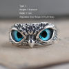 (🌲CHRISTMAS SALE NOW-50% OFF)-925 Sterling Silver Demon Eye Owl Ring Adjustable