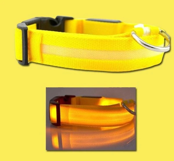 Last Day Promotion 48% OFF - LED Dog Collar(Buy 4 Get 20% OFF&Free Shipping)