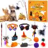 🔥HOT SALE-Spooktacular 13-Day Halloween Countdown for Your Feline!