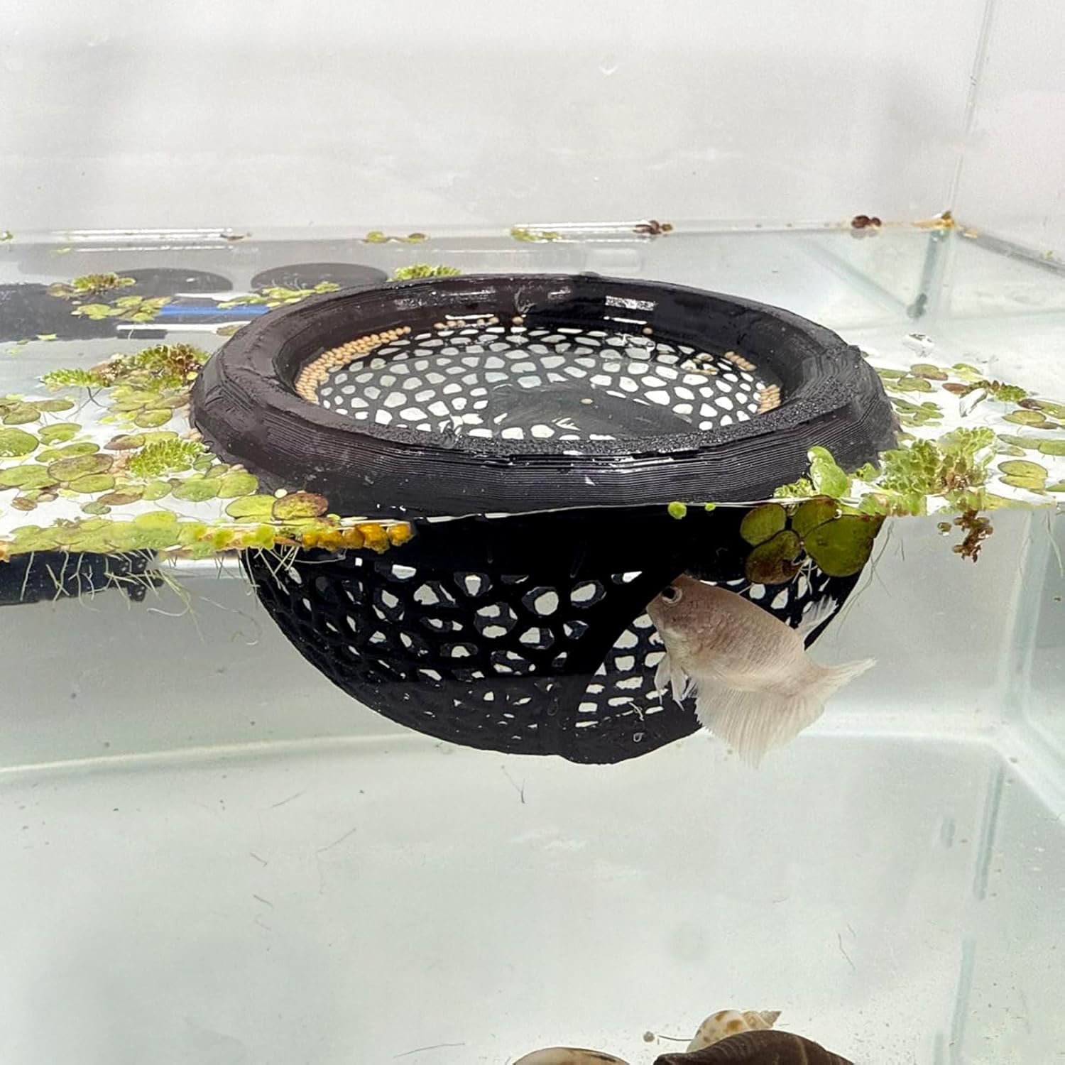 🔥Last Day: 50% OFF🐟Floating Betta Fish Skins