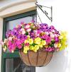 🌸 Spring Summer Home Decoration - 🌿 Fake Silk Colorful Morning Glory