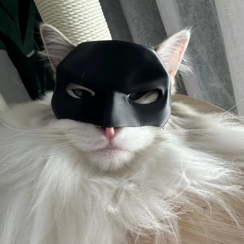 🔥Hot Sale🔥CAT BAT MASK