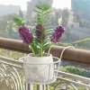 🎁TikTok Last Day Sale - 70% OFF🔥 Hanging Flower Stand🌼