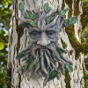 Elder Tree Spirit Statue