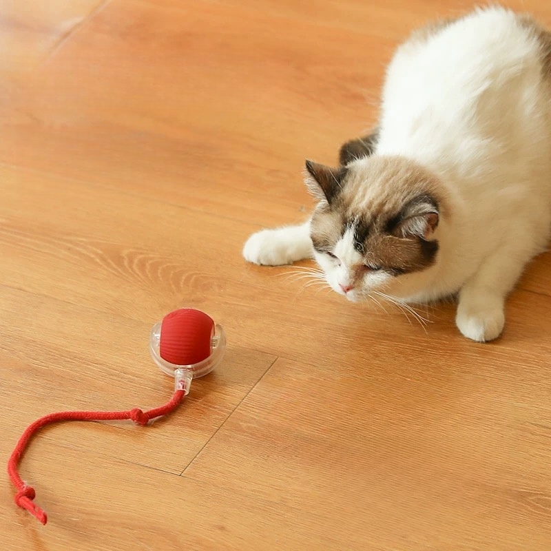 🐱🐶2025 Automatic LED Interactive Pet Toys Ball, 🔥Buy 3 Get Extra 20% OFF ONLY TODAY!