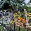 (🎃HALLOWEEN SALE-48% OFF)Halloween Sunflower Skull Garden Decoration
