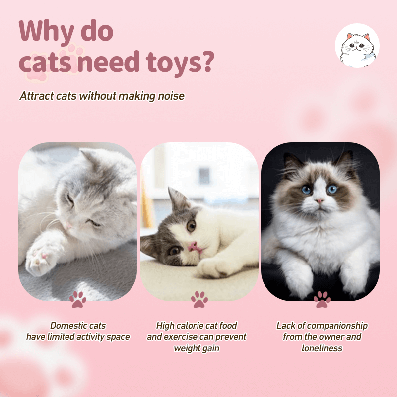 🎅🎁Pet Ball Shooting Toy