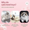 🎅🎁Pet Ball Shooting Toy