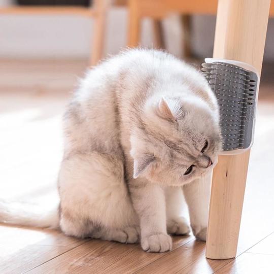 Cat Massage Brush