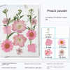 Transparent Dried Flower Bookmarks(40 PCS)