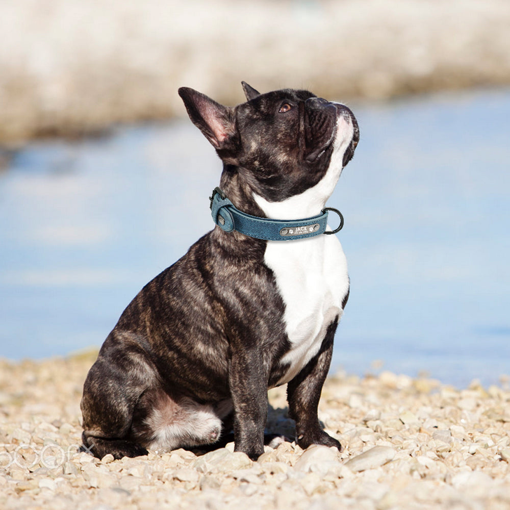 Personalized, Custom Engraved Leather Dog Collar & Leash Set