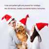 🎄TikTok Christmas Sale -70% OFF✨ Electric Christmas Hat🎅