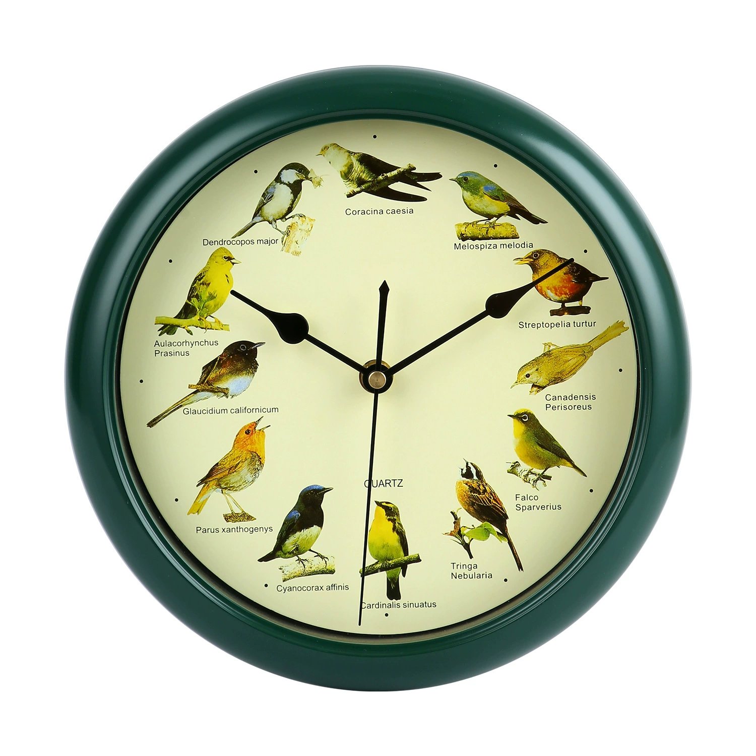 💥Spring Hot Sale 49% Off 💥Singing Bird Wall Clock