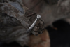 🔥Anxiety Rings Hognose Snake Spinner Ring