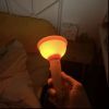 Funny Light-Toilet Plunger Night Light