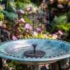 😍Only Today 50% OFF⏰Solar Powered Water Fountain