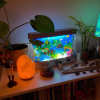 (🔥Last Day Promotion 50% OFF) Tropical Aquarium Lights - Buy 2 Get Extra 10% OFF & Free Shipping