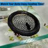 🔥Last Day: 50% OFF🐟Floating Betta Fish Skins