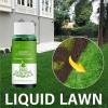 🔥Green Grass& Pest Control Lawn Spray System