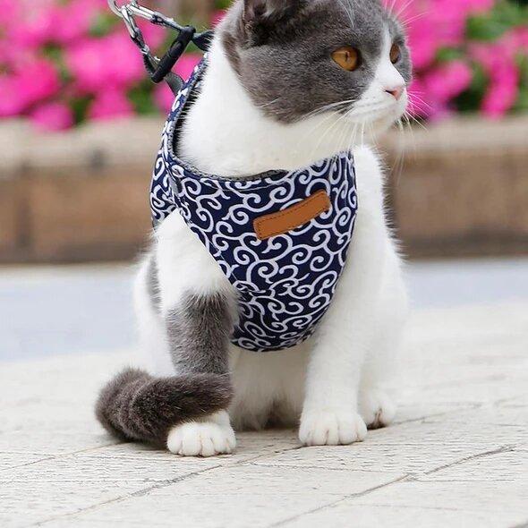 LAST DAY SALE-65% OFF ONLY TODAY-Cat Dogs Vest Harness and Leash Anti-break Away Chest Strap Cat Clothes