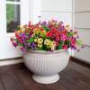 ✨Last Day 49% OFF - UV Simulation Artificial Flower(12pc/set)