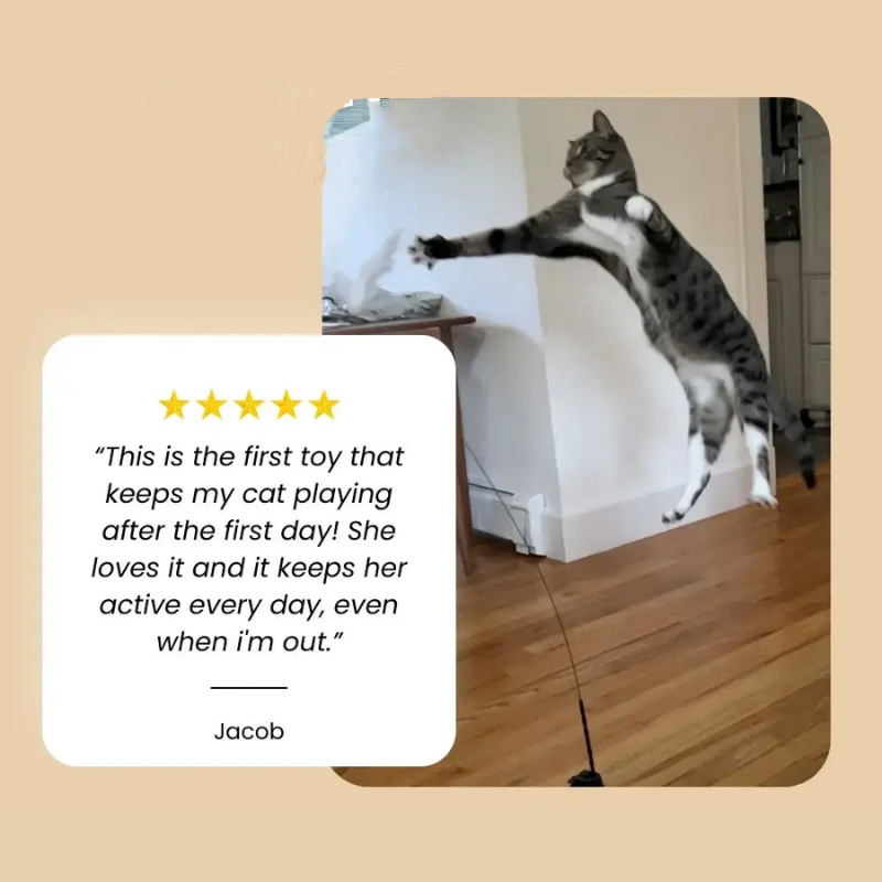 💥LAST DAY SALE 50% OFF💥Interactive Cat Toy Set