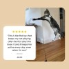 💥LAST DAY SALE 50% OFF💥Interactive Cat Toy Set