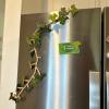 Ivy Fridge Magnet