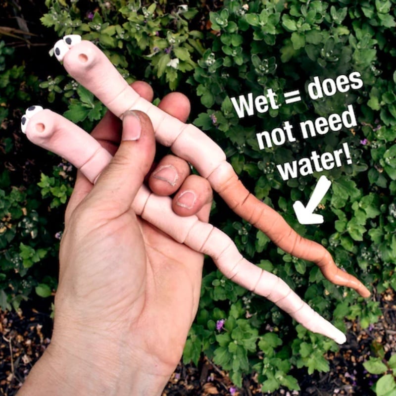 🎁TikTok Last Day Sale - 70% OFF🎉Thirsty Worm moisture monitor for your potted plant