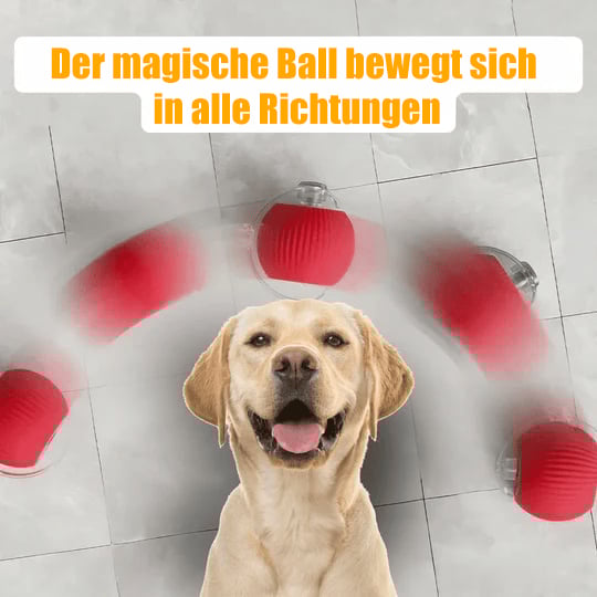 💗Letzter Tagesangebot: 49 % RABATT😻 Interaktiver Spielzeug Ball
