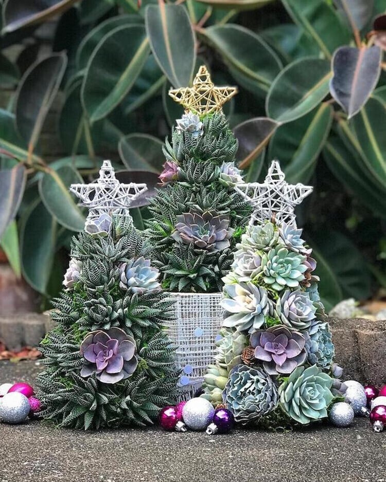 (🌲Early Christmas Sale- 50% OFF) 🎄Succulent Art Tree - Buy 2 Free Shipping