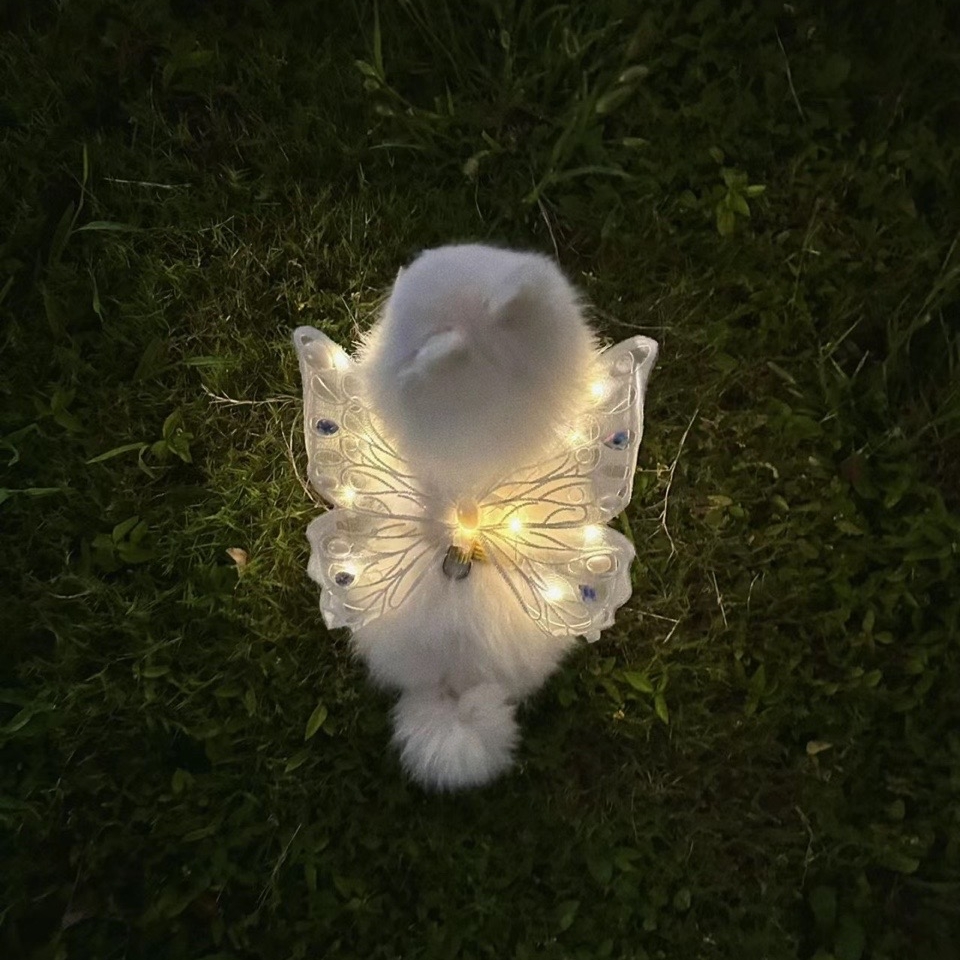 💥BUY 2 GET 1 FREE🦋Pet Embroidered Glow Fairy Wings