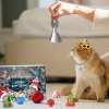 🔥 LETZTE 48 STUNDEN 49% RABATT - 🐱2024 WEIHNACHTS-COUNTDOWN KATZENSPIELZEUG-ADVENTSKALENDER