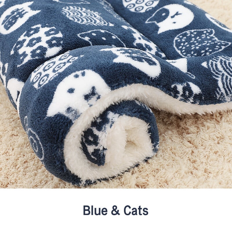 🔥Last Day 50% OFF - Cosy Calming Cat Blanket