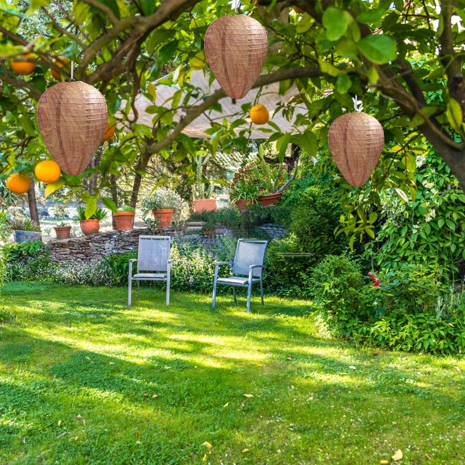 🎁TikTok Last Day Sale - 70% OFF🎉Best Bee Brothers Natural Wasp Deterrent Hives - Protect Your Yard from territorial wasps
